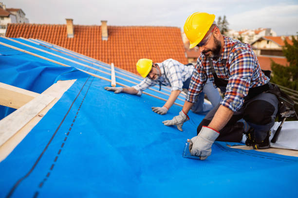 Best Gutter Installation and Roofing  in Homerville, GA