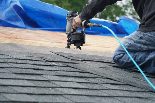 Best Roofing Contractors for Homes  in Homerville, GA