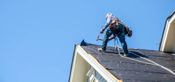 Best Roof Gutter Cleaning  in Homerville, GA